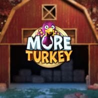 More Turkey thumbnail